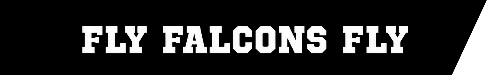 The words "FLY FALCONS FLY" in large, white, athletic-style font against a black background.